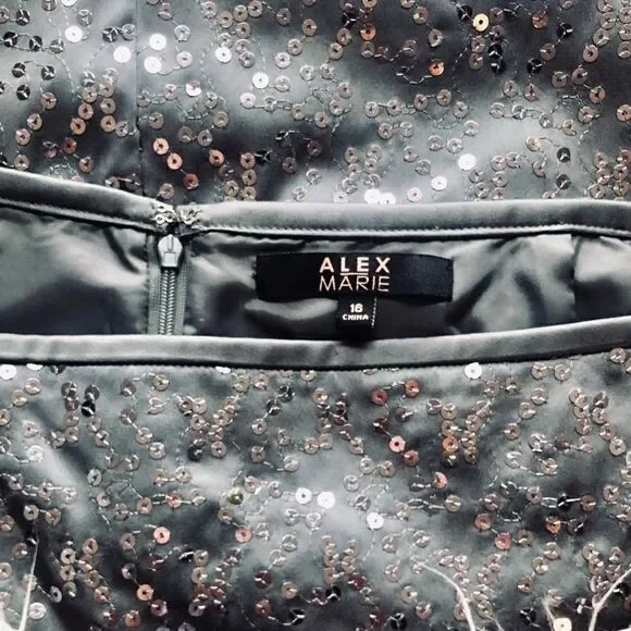 Alex Marie Sequin Britt Skirt - Picture 6 of 7